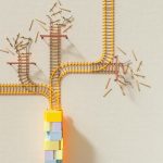 la photo identifie différentes branches ayant des ramifications. L'image est utilisée pour rendre compte de la complexité des systèmes.