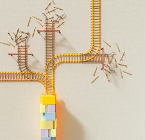 la photo identifie différentes branches ayant des ramifications. L'image est utilisée pour rendre compte de la complexité des systèmes.